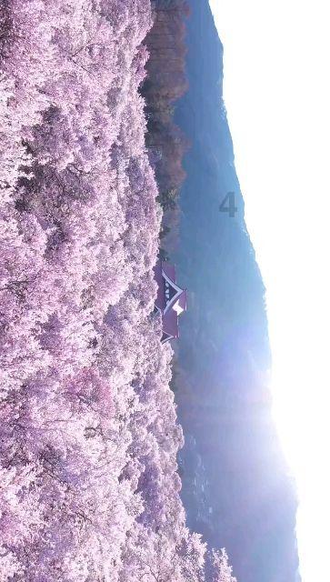 永吉县人民法院法警大队开展处突演练