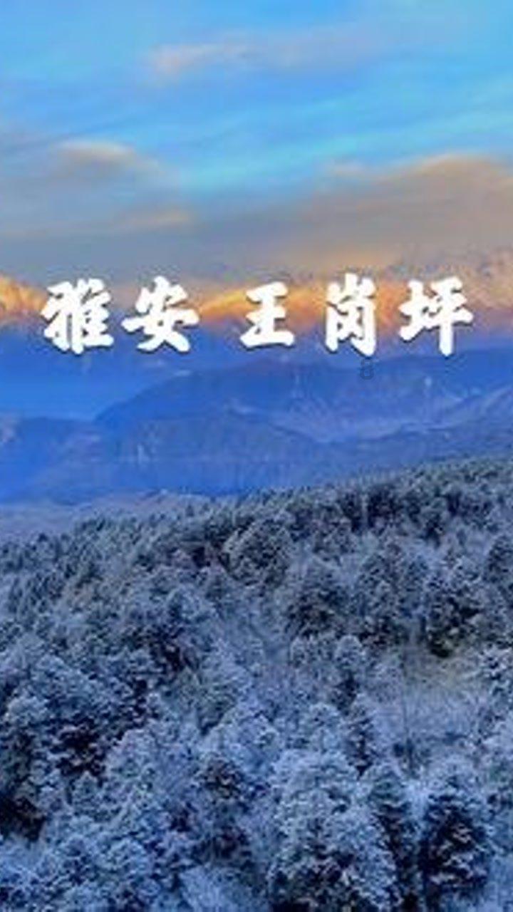逃出林中村