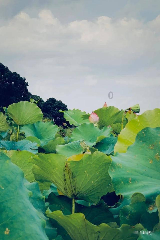 进攻犯规怎么判定游戏画面