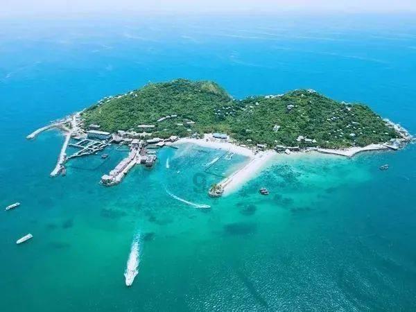 全省首个！济南市成功获评国家知识产权保护示范区建设城市
