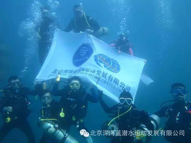全民烧脑3去广告版