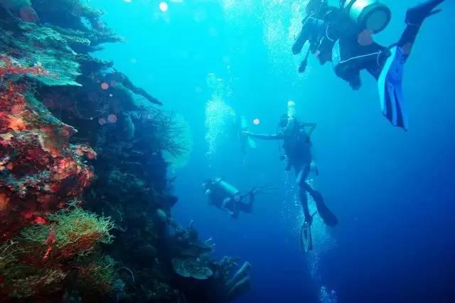 快船队遭受伤病打击,祖巴茨右小腿拉伤后复查待定