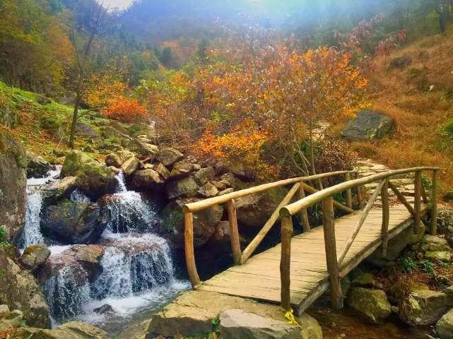 众人接力救助流浪人员