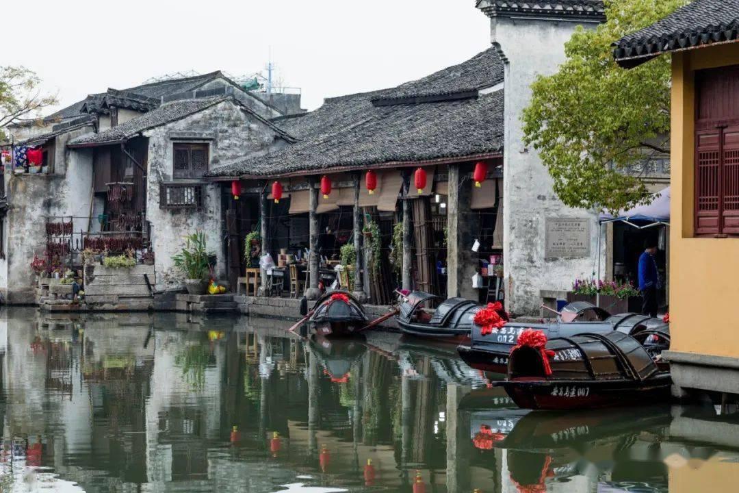 饥饿的哈利