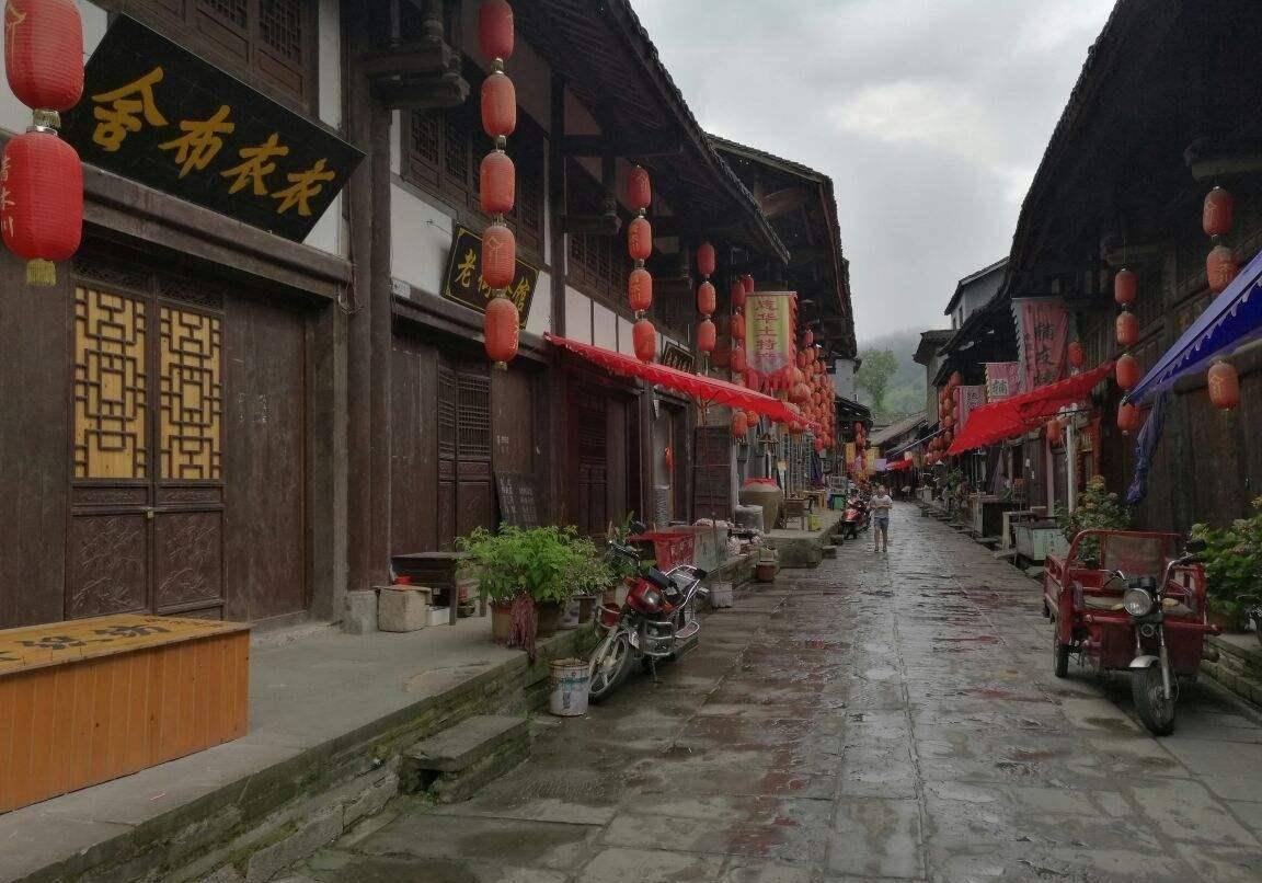 广州动物园时隔18年再次繁育北白颊长臂猿