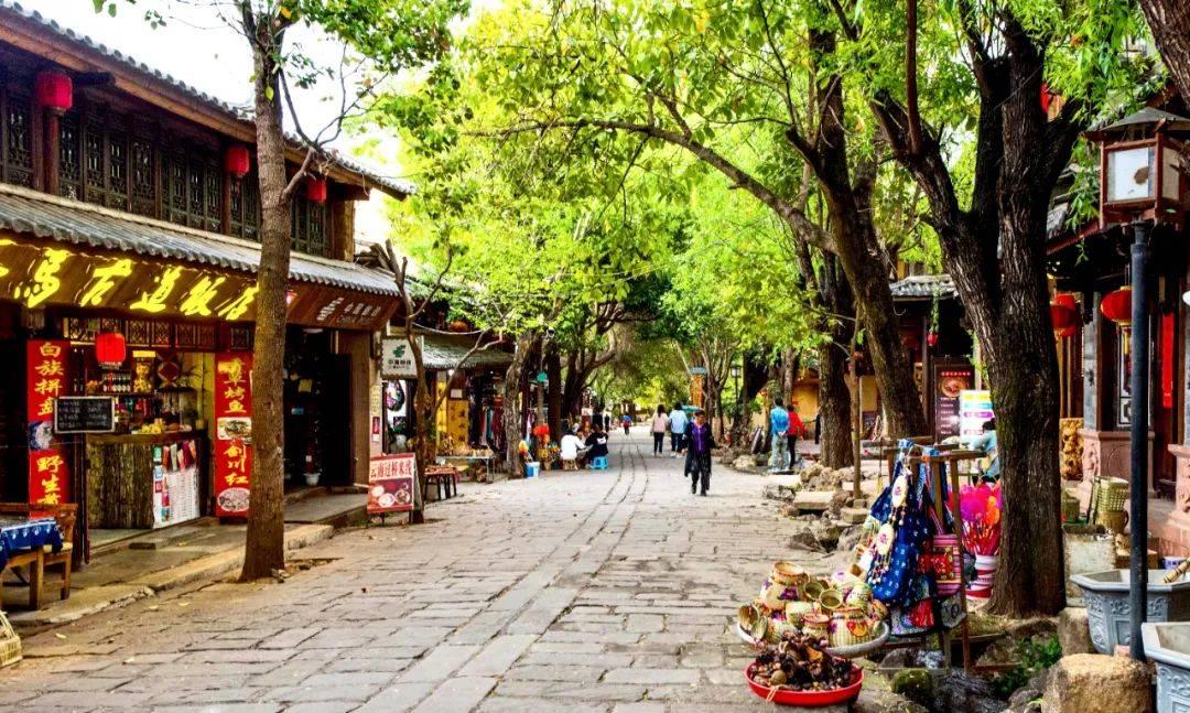 梦想的后院